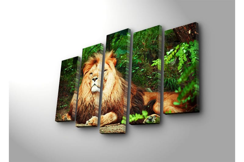 Stor Canvastavla i 5 delar 105x70 cm - Majestätisk lejon med imponerande man i en naturlig miljö - Guld / Grön / Brun - Inredning & dekor - Tavlor & konst - Canvastavla