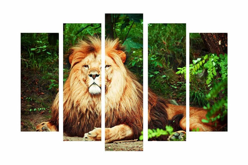 Stor Canvastavla i 5 delar 105x70 cm - Majestätisk lejon med imponerande man i en naturlig miljö - Guld / Grön / Brun - Inredning & dekor - Tavlor & konst - Canvastavla