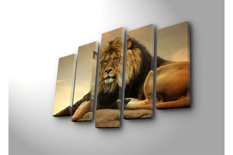 Stor Canvastavla i 5 delar 105x70 cm - Majestätisk lejon som vilar på en klippa - Guld / Brun / Beige - Inredning & dekor - Tavlor & konst - Canvastavla