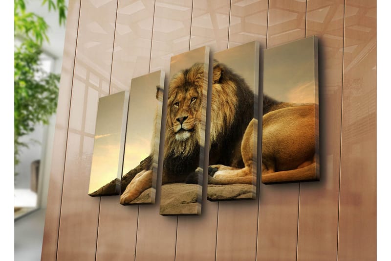 Stor Canvastavla i 5 delar 105x70 cm - Majestätisk lejon som vilar på en klippa - Guld / Brun / Beige - Inredning & dekor - Tavlor & konst - Canvastavla
