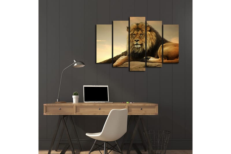 Stor Canvastavla i 5 delar 105x70 cm - Majestätisk lejon som vilar på en klippa - Guld / Brun / Beige - Inredning & dekor - Tavlor & konst - Canvastavla
