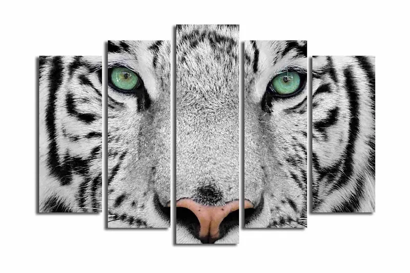 Stor Canvastavla i 5 delar 105x70 cm - Närbild av en vit tiger med intensiva ögon - Vit / Svart / Grön - Inredning & dekor - Tavlor & konst - Canvastavla