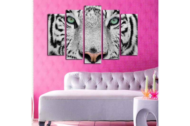 Stor Canvastavla i 5 delar 105x70 cm - Närbild av en vit tiger med intensiva ögon - Vit / Svart / Grön - Inredning & dekor - Tavlor & konst - Canvastavla