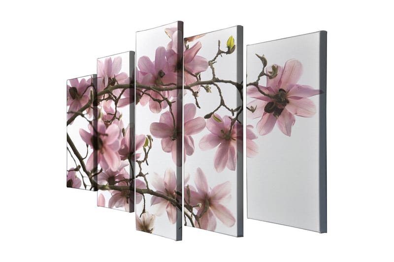 Stor Canvastavla i 5 delar 105x70 cm - Rosa magnoliablommor på grenar - Rosa / Grön / Brun - Inredning & dekor - Tavlor & konst - Canvastavla