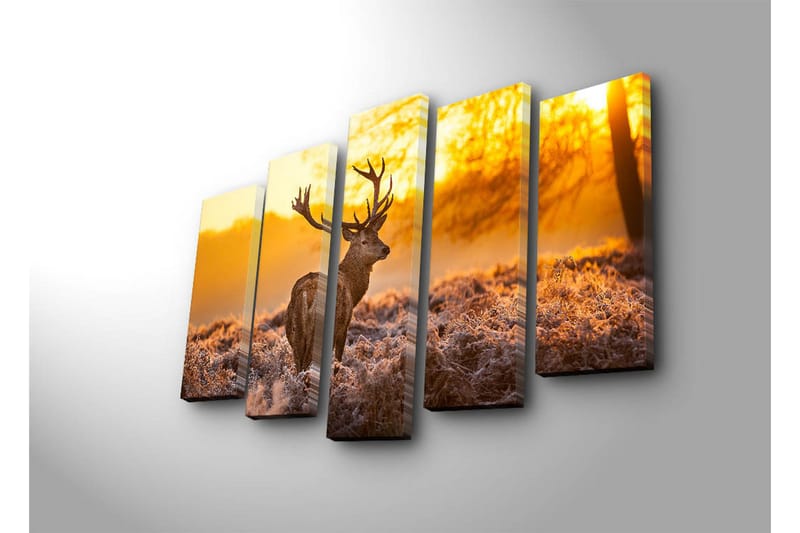 Stor Canvastavla i 5 delar 105x70 cm - Ståtlig älg i soluppgångens gyllene ljus - Guld / Brunt / Beige - Inredning & dekor - Tavlor & konst - Canvastavla
