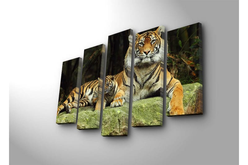 Stor Canvastavla i 5 delar 105x70 cm - Stolt tiger med unge som vilar på en sten - Orange / Svart / Beige - Inredning & dekor - Tavlor & konst - Canvastavla