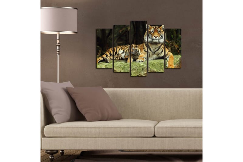 Stor Canvastavla i 5 delar 105x70 cm - Stolt tiger med unge som vilar på en sten - Orange / Svart / Beige - Inredning & dekor - Tavlor & konst - Canvastavla