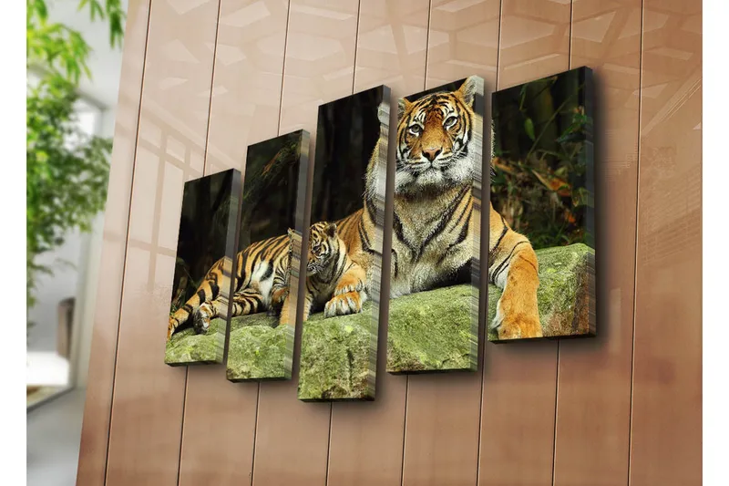 Stor Canvastavla i 5 delar 105x70 cm - Stolt tiger med unge som vilar på en sten - Orange / Svart / Beige - Inredning & dekor - Tavlor & konst - Canvastavla