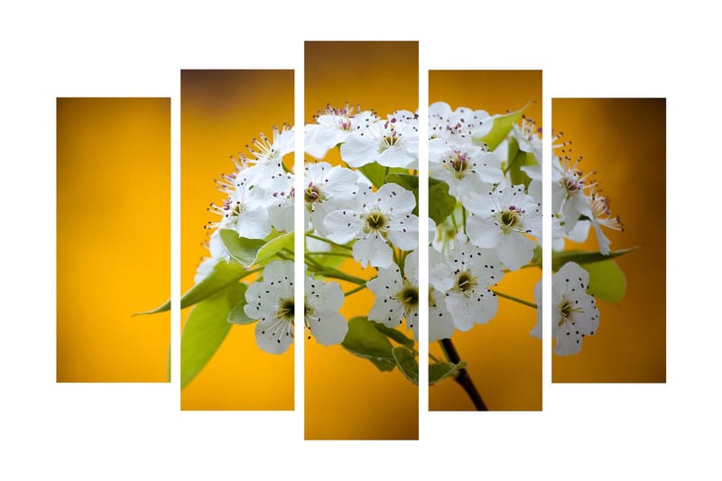 Stor Canvastavla i 5 delar 105x70 cm - Vacker bukett av vita blommor mot en varm gul bakgrund - Vit / Gul - Inredning & dekor - Tavlor & konst - Canvastavla