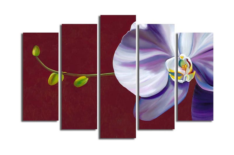 Stor Canvastavla i 5 delar 105x70 cm - Vacker orkidé med eleganta blommor - Vit / Lila / Grön - Inredning & dekor - Tavlor & konst - Canvastavla