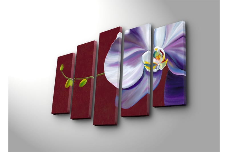 Stor Canvastavla i 5 delar 105x70 cm - Vacker orkidé med eleganta blommor - Vit / Lila / Grön - Inredning & dekor - Tavlor & konst - Canvastavla