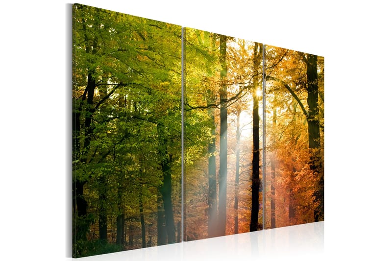 Tavla A calm autumn forest 90x60, Artgeist sp. z o. o.