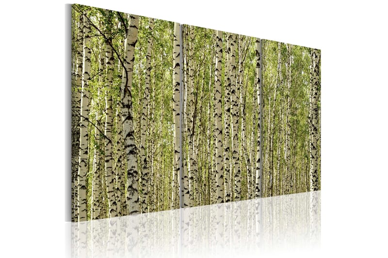 Tavla A forest of birch trees 60x40, Artgeist sp. z o. o.