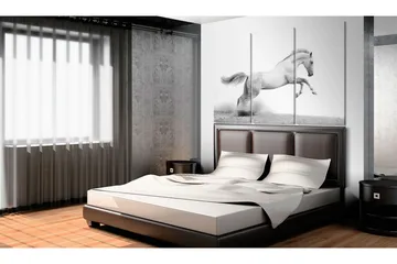 Tavla A Galloping Horse 60x40 - Artgeist sp. z o. o. - Inredning & dekor - Tavlor & konst - Canvastavla