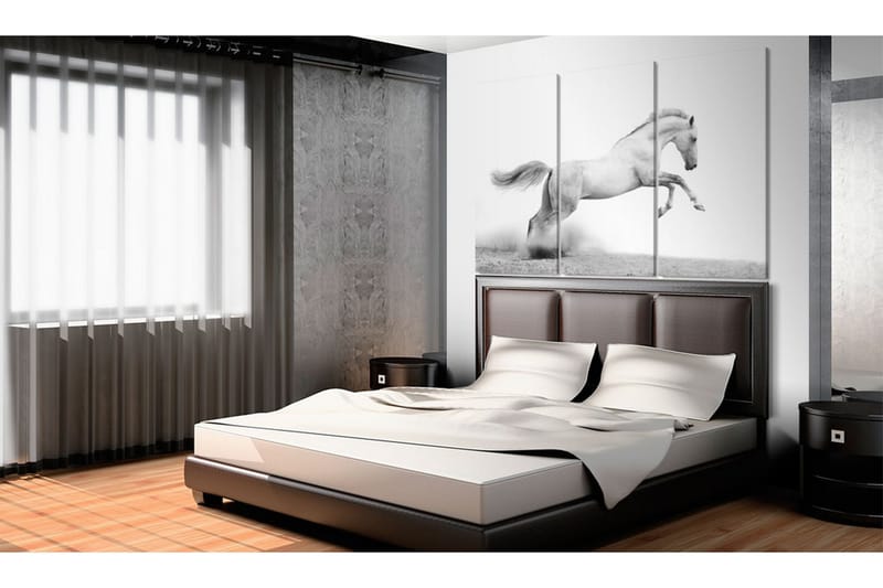 Tavla A galloping horse 90x60 - Artgeist sp. z o. o. - Inredning & dekor - Tavlor & konst - Canvastavla