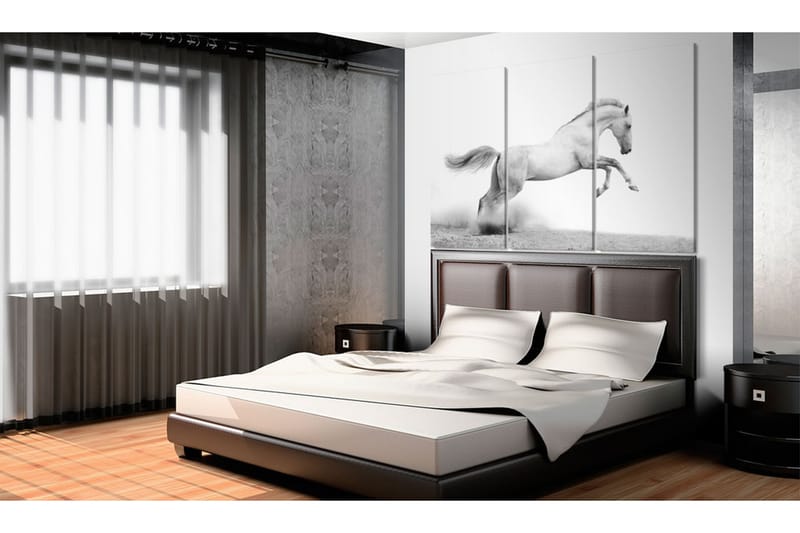 TAVLA A galloping horse 90x60 - Artgeist sp. z o. o. - Inredning & dekor - Tavlor & konst - Canvastavla