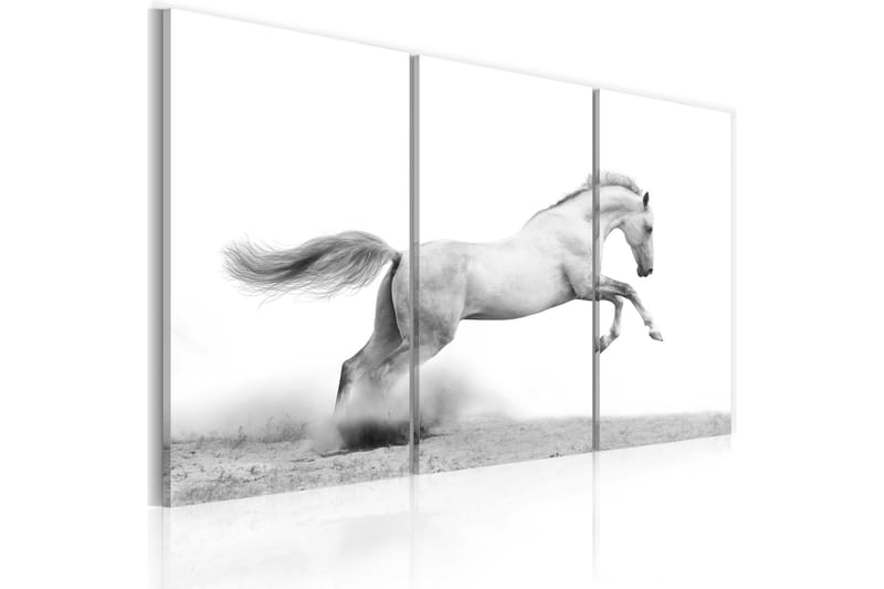 TAVLA A galloping horse 90x60 - Artgeist sp. z o. o. - Inredning & dekor - Tavlor & konst - Canvastavla