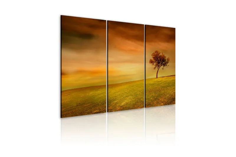 Tavla A Lonely Tree On A Meadow 60x40 - Artgeist sp. z o. o. - Inredning & dekor - Tavlor & konst - Canvastavla
