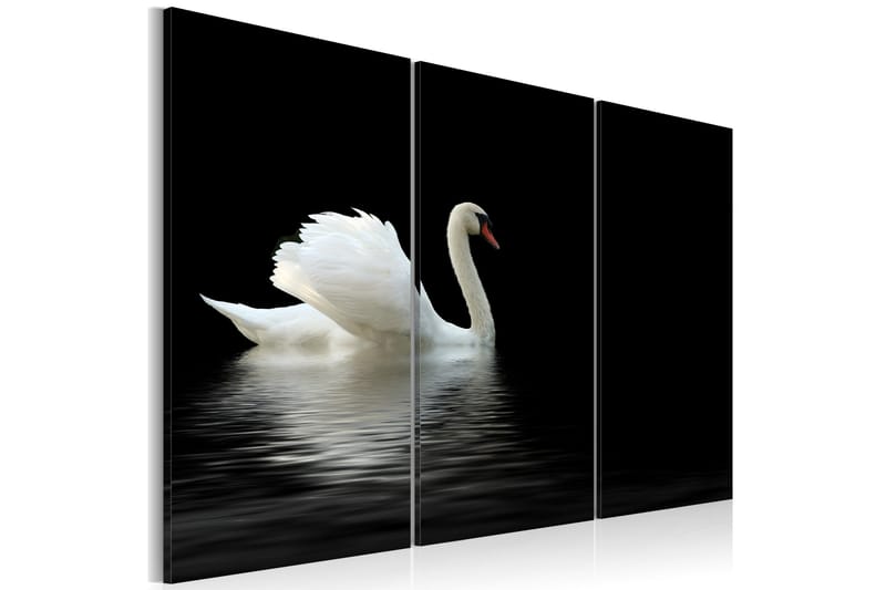 Tavla A lonely white swan 90x60, Artgeist sp. z o. o.