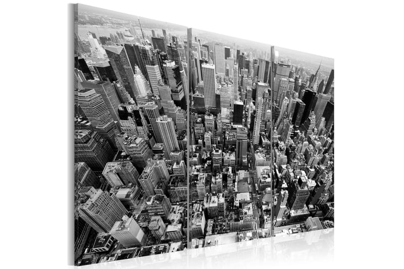 Tavla A marvellous view on New York roofs 60x40, Artgeist sp. z o. o.