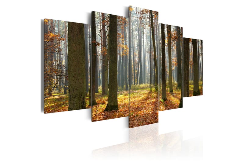 Tavla A Nice Forest Landscape 200X100 Flerfärgad - Artgeist sp. z o. o. - Inredning & dekor - Tavlor & konst - Canvastavla
