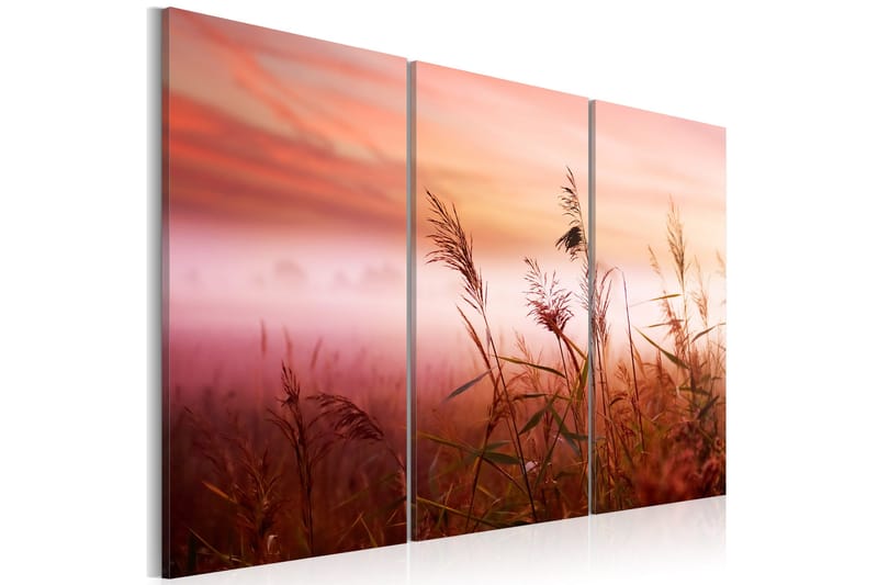 Tavla A silent meadow 90x60, Artgeist sp. z o. o.