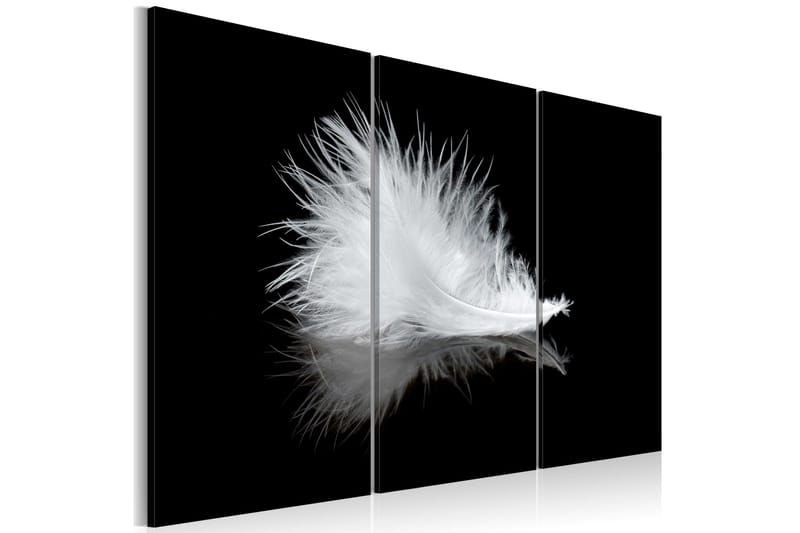 Tavla A small feather 90x60, Artgeist sp. z o. o.