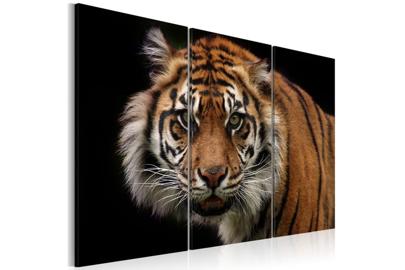 TAVLA A wild tiger 90x60 - Artgeist sp. z o. o. - Inredning & dekor - Tavlor & konst - Canvastavla