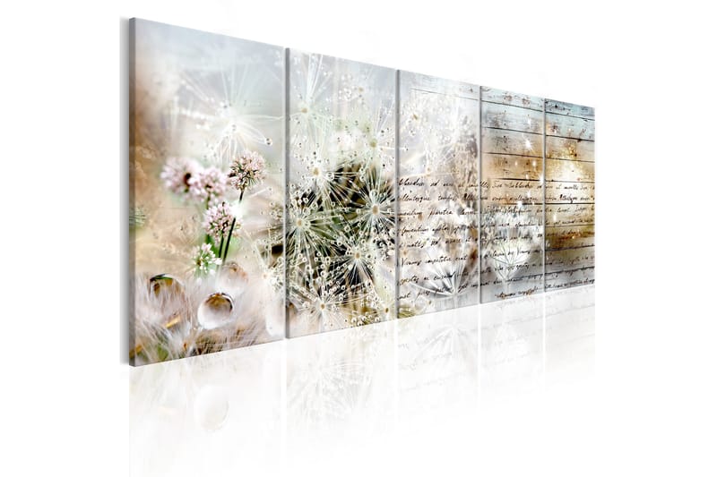 Tavla Abstract Dandelions 200X80 Flerfärgad|Vit - Artgeist sp. z o. o. - Inredning & dekor - Tavlor & konst - Canvastavla