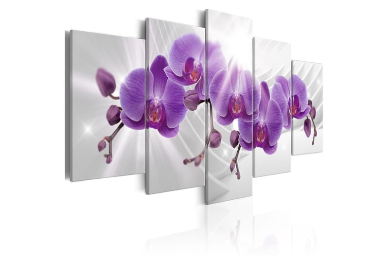 Tavla Abstract Garden Purple Orchis 100X50 Lila|Vit - Artgeist sp. z o. o. - Inredning & dekor - Tavlor & konst - Canvastavla