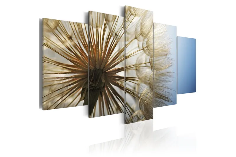 Tavla Admiration Of Gentleness 100x50, Artgeist sp. z o. o.