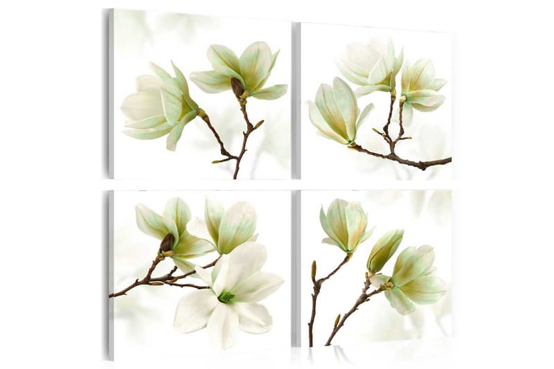 Tavla Admiration Of Magnolia 80X80 Vit - Artgeist sp. z o. o. - Inredning & dekor - Tavlor & konst - Canvastavla