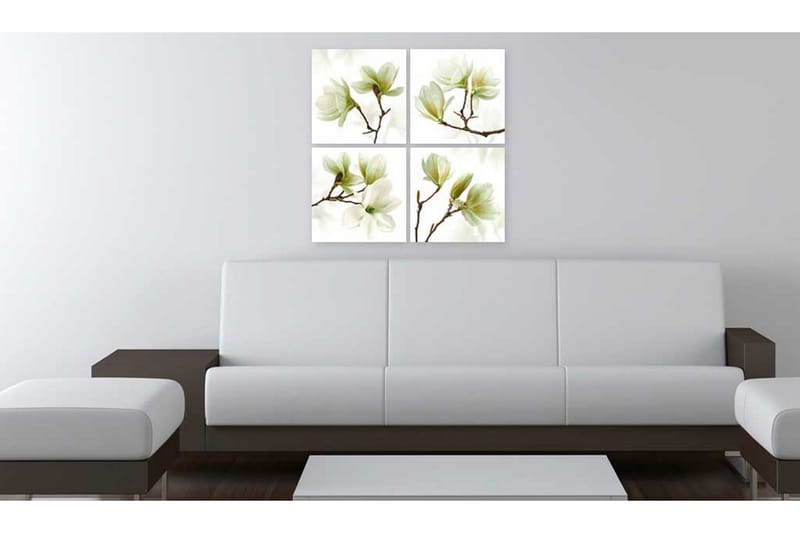 Tavla Admiration Of Magnolia 80X80 Vit - Artgeist sp. z o. o. - Inredning & dekor - Tavlor & konst - Canvastavla