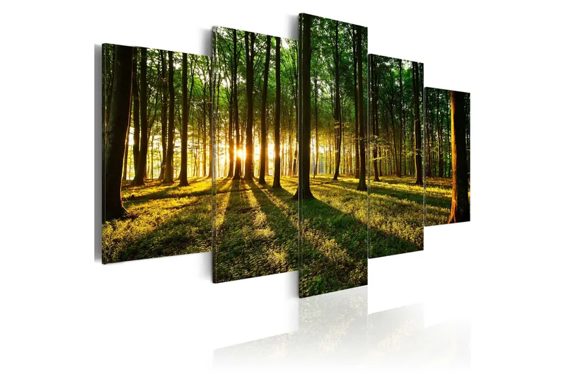 Tavla Adventure In The Woods 100x50, Artgeist sp. z o. o.