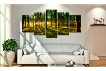 Tavla Adventure In The Woods 200x100 - Artgeist sp. z o. o. - Inredning & dekor - Tavlor & konst - Canvastavla