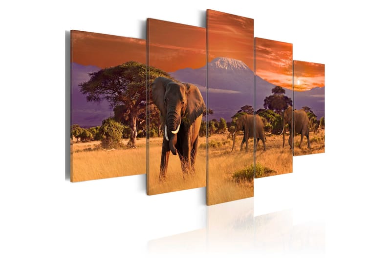 Tavla Africa Elephants 100x50, Artgeist sp. z o. o.