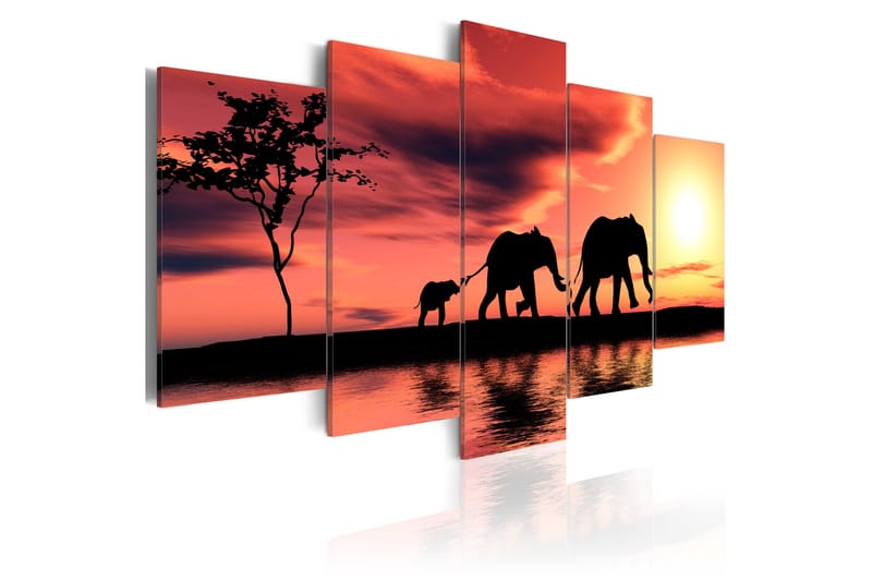 Tavla African Elephants Family 200X100 Orange - Artgeist sp. z o. o. - Canvastavla