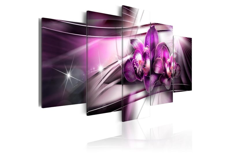 Tavla Amaranthine Tandem 200x100, Artgeist sp. z o. o.
