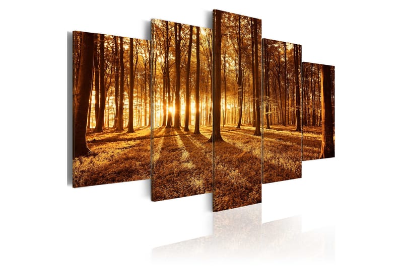 Tavla Amber Forest 200x100, Artgeist sp. z o. o.
