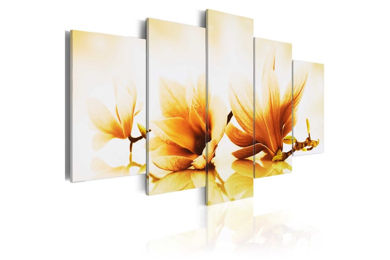 Tavla Amber Magnolias 100X50 Gul|Vit - Artgeist sp. z o. o. - Inredning & dekor - Tavlor & konst - Canvastavla