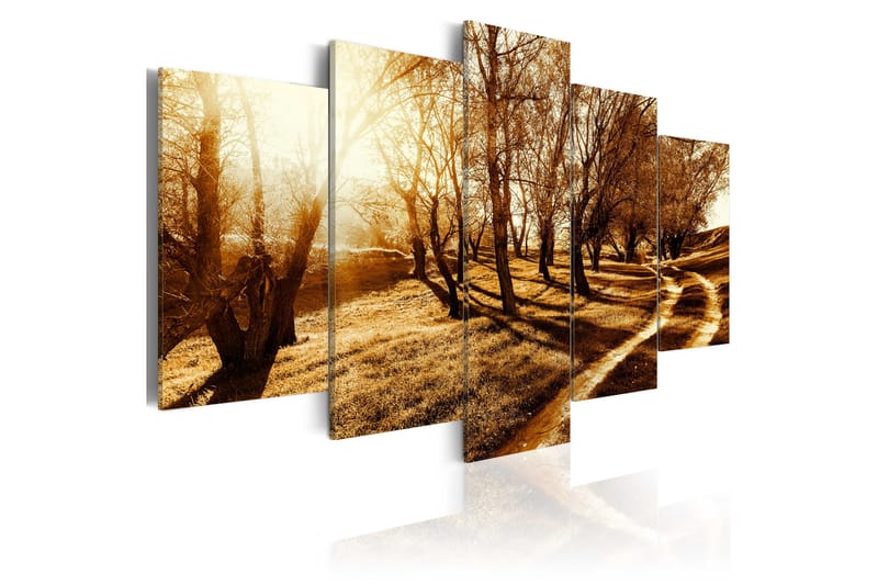 Tavla Amber Orchard 100X50 Brun - Artgeist sp. z o. o. - Inredning & dekor - Tavlor & konst - Canvastavla