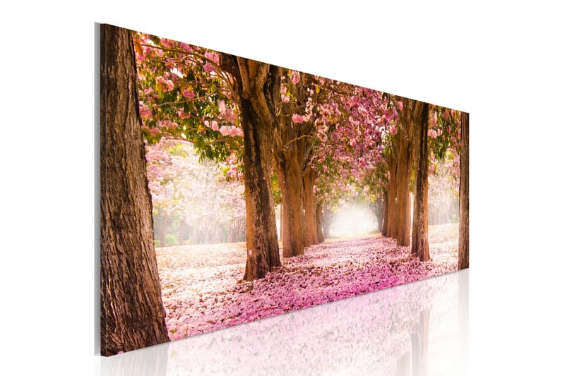 Tavla Amongst Dreams 120X40 Flerfärgad - Artgeist sp. z o. o. - Inredning & dekor - Tavlor & konst - Canvastavla