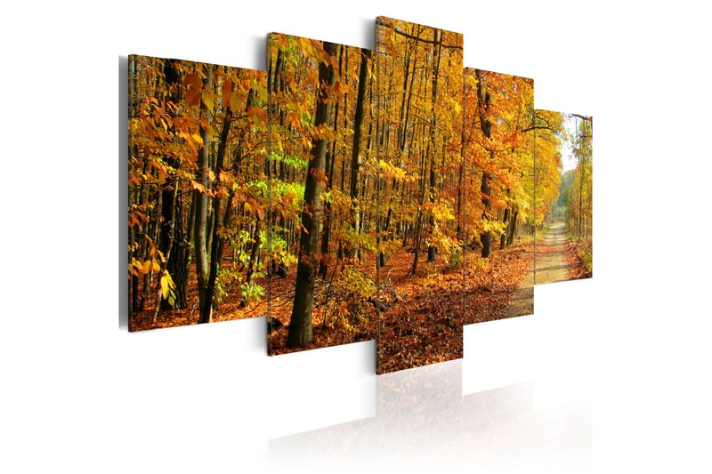 Tavla An Alley Among Colorful Leaves 100X50 Orange - Artgeist sp. z o. o. - Inredning & dekor - Tavlor & konst - Canvastavla
