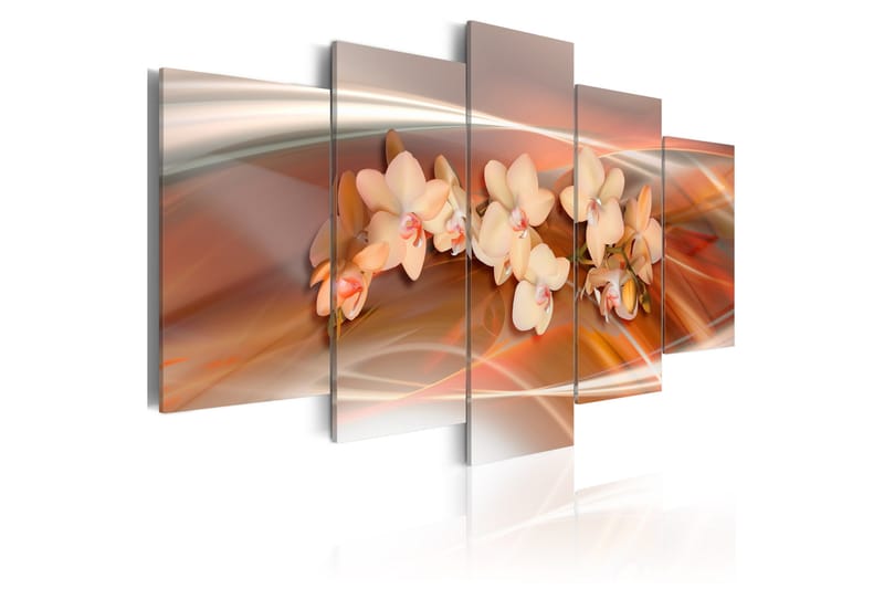 Tavla An Orchid In Grey Shades 200x100, Artgeist sp. z o. o.