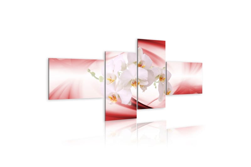 Tavla An Orchid In Pink Shade 100x45 - Artgeist sp. z o. o. - Inredning & dekor - Tavlor & konst - Canvastavla