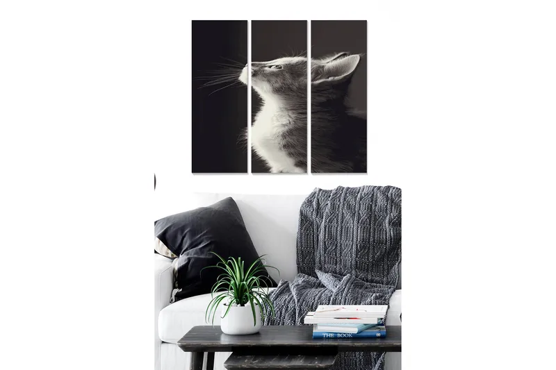 Tavla Animal 3-pack Flerfärgad - 20x50 cm - Inredning & dekor - Tavlor & konst - Canvastavla