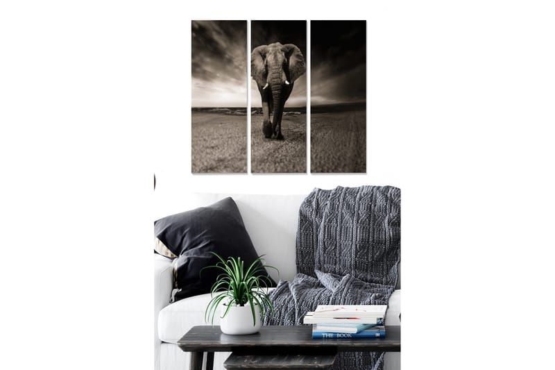 Tavla Animal 3-Pack Flerfärgad 20X50 - 20x50 cm - Inredning & dekor - Tavlor & konst - Canvastavla