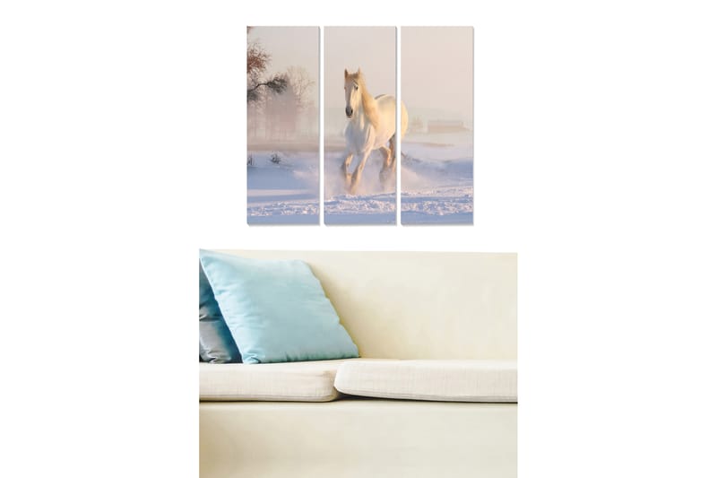 Tavla Animal 3-Pack Flerfärgad 20X50 - 20x50 cm - Inredning & dekor - Tavlor & konst - Canvastavla
