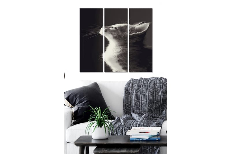 Tavla Animal 3-Pack Flerfärgad 20X50 - 20x50 cm - Inredning & dekor - Tavlor & konst - Canvastavla
