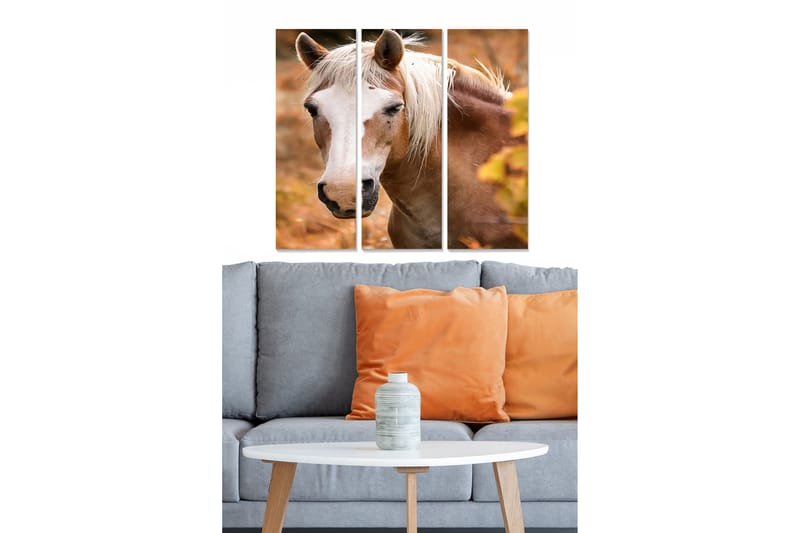 Tavla Animal 3-Pack Flerfärgad 20X50 - 20x50 cm - Inredning & dekor - Tavlor & konst - Canvastavla